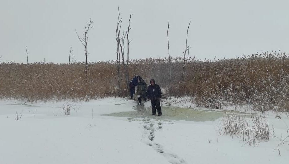 Случай произошел вблизи села Красный Бор.