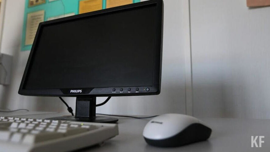 Участники получат базовые знания