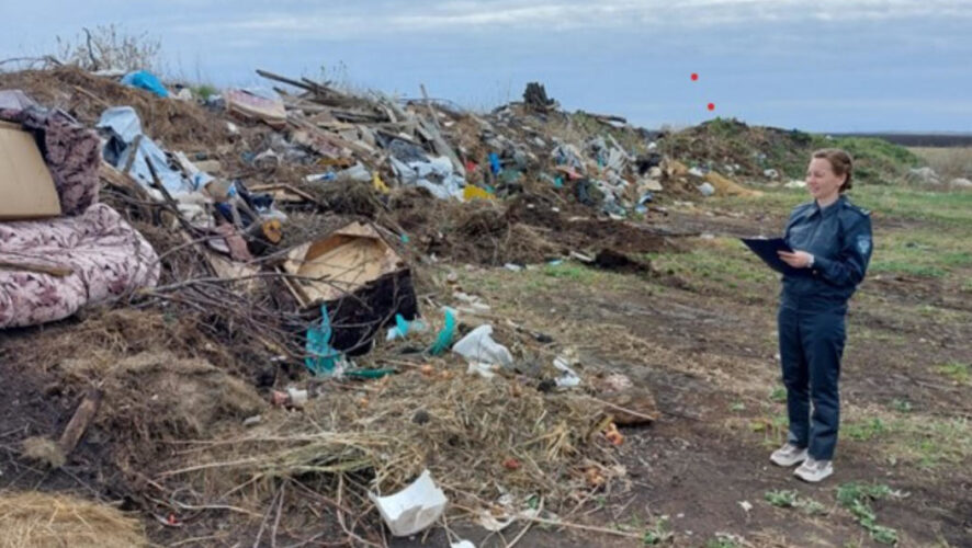 Сотрудники Россельхознадзора выявили нарушения нескольких статей Земельного кодекса РФ