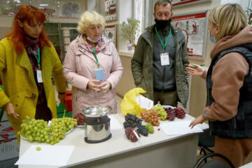 Журналист KazanFirst Сергей Исичко побывал на выставке «Дары садов и виноградников». Участники успешно выращивают виноград для собственных нужд