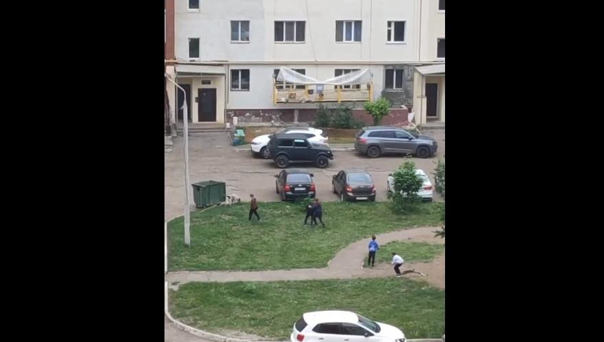 Нижнекамка призвала родителей поговорить с детьми по поводу отношения к животным.