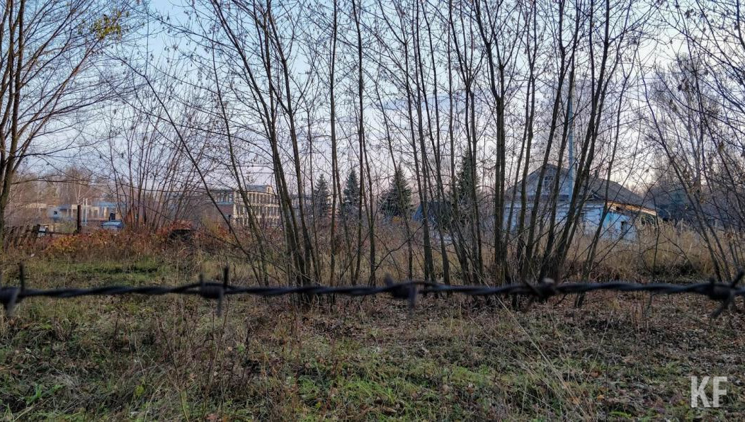 В Казани выявили наибольшее количество обращений в республике.