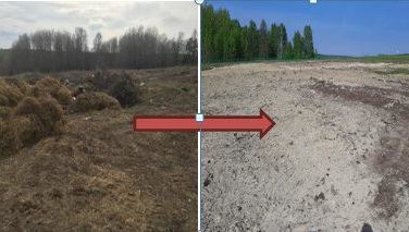 Очищенный участок планируют использовать для сельского хозяйства.