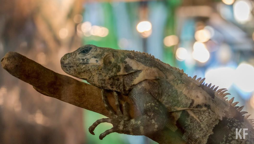 Подписчики были шокированы увиденным.