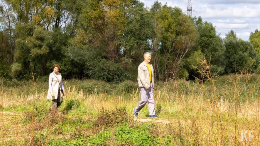 Жители коттеджного поселка Боровецкий в Набережных Челнах вступили в перманентную (непрерывную) борьбу за спасение уникального леса.