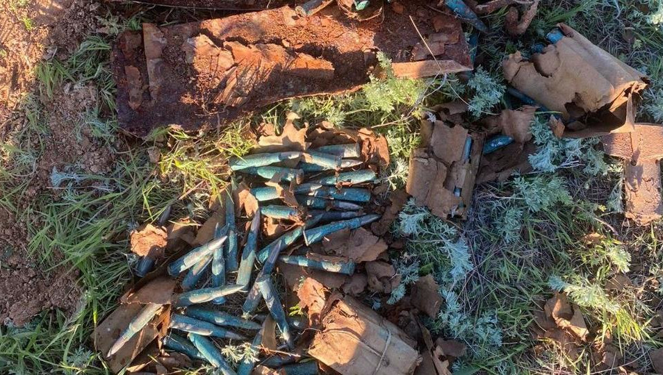 С начала раскопок подняли из земли 11 бойцов.