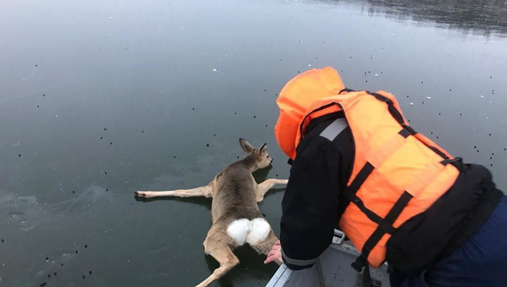 Сотрудники МЧС решили использовать минимум оборудования