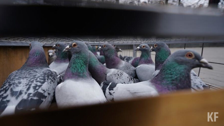 В администрации Вахитовского района ответили