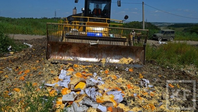 250 т санкционных продуктов уничтожено в России за одни день. Регионы отчитались в уничтожении яблок