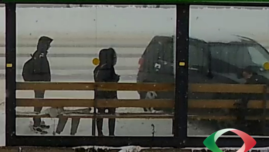 Внедорожник