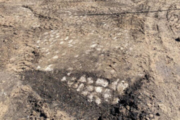 Специалисты определят ценность и возможность включения брусчатки в список выявленных объектов археологического наследия.