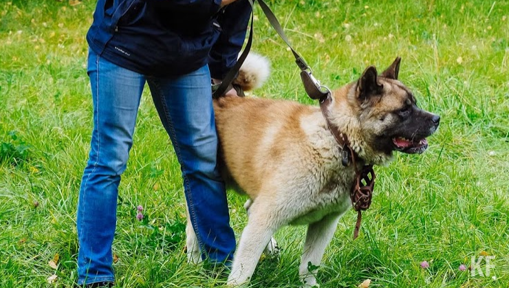 Аполлон вцепился ребенку в подбородок. От боли потерпевшая потеряла сознание.