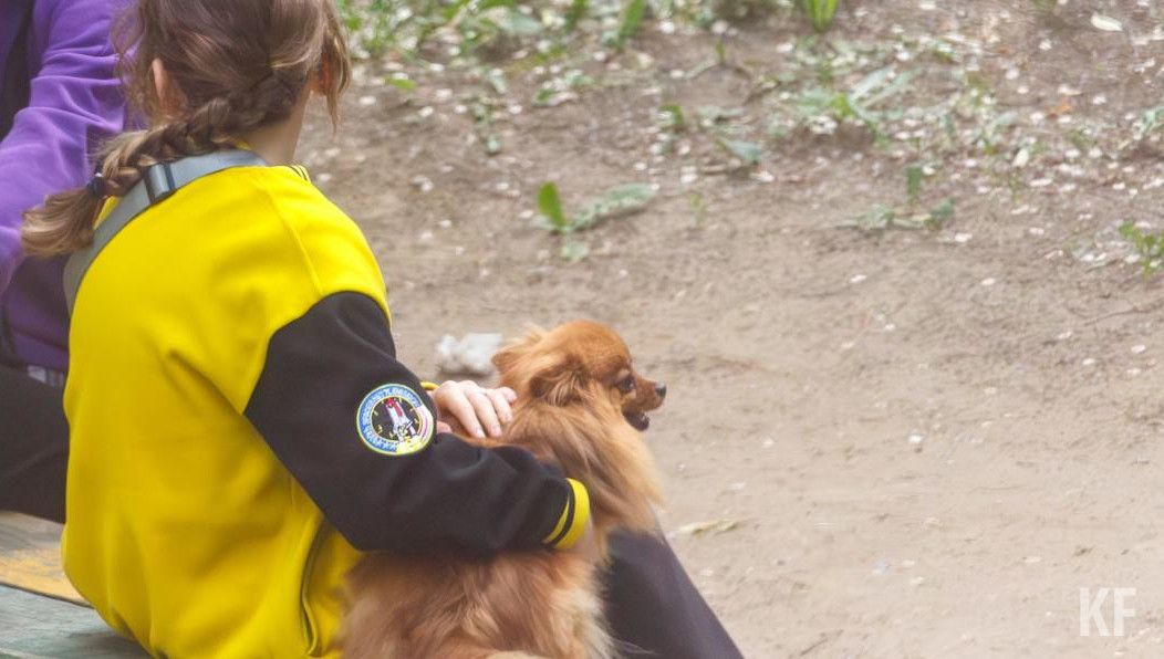 Бригада ветеринаров окажет помощь 2 и 3 сентября.