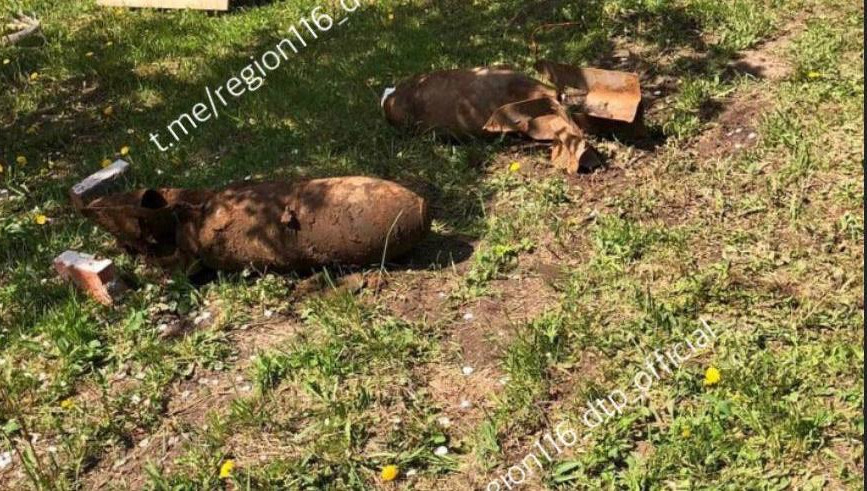 Экспертиза показала