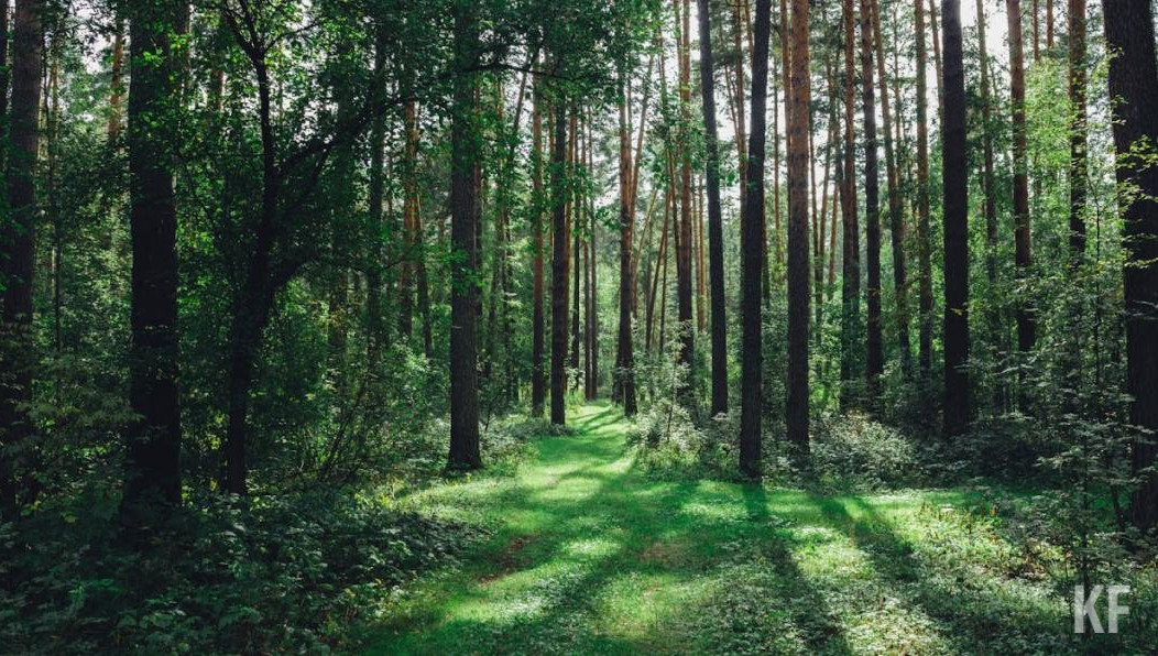 Штормовое предупреждение продлится со 2 по 5 августа.