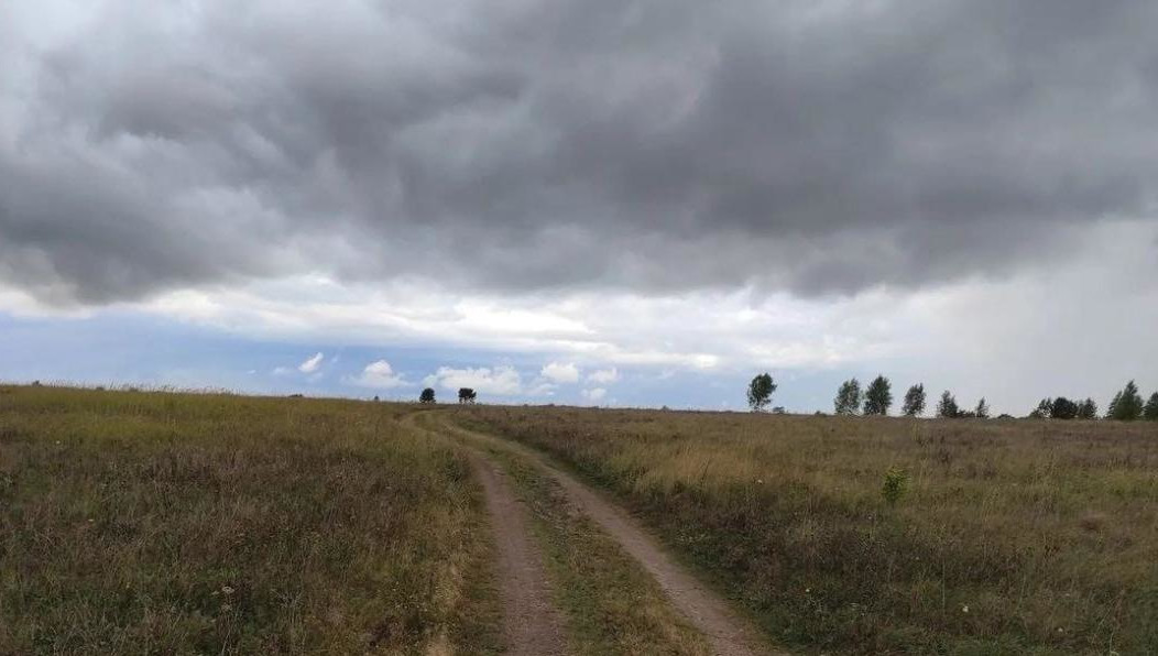 Таким образом они хотят выезжать на Оренбургский тракт