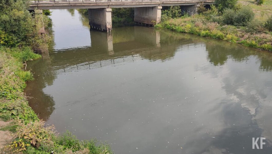 Экологи нашли и другие нарушения.