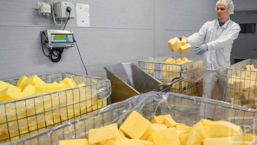 В России около 78% сыра является фальсификатом. К таким данным пришел Россельхознадзор