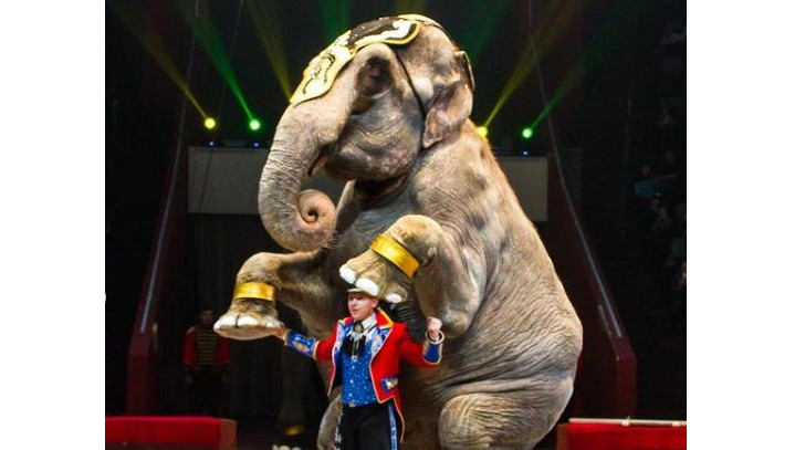 Сергей Гулевич отметил