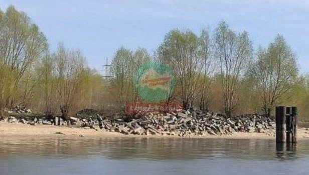 На данный момент экологи сделали запрос в Россреестр