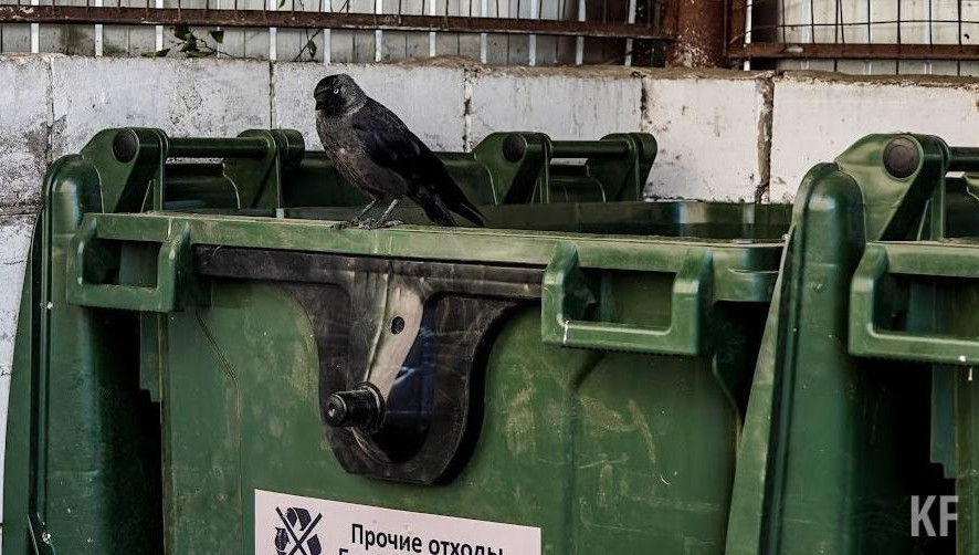 Жители платили за вывоз мусора