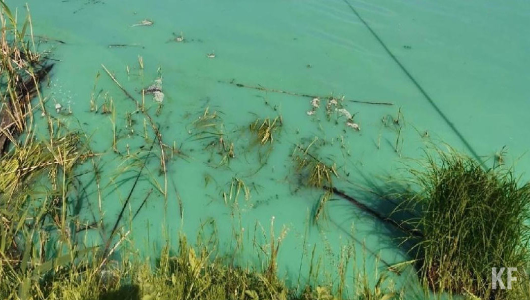 Первая версия – жители слили неизвестные отходы в водоем.