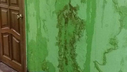 Мини-экскурсией по зданию школы родители учеников поделились в соцсетях.