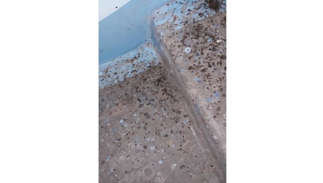 Горожане советуют жильцам обратиться к правоохранителям.