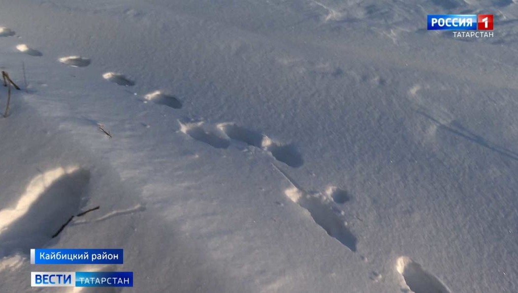 По словам сельчан