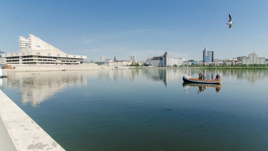 Черный Зигфрид и овдовевшая белая лебедь: казанцы предлагают поженить одиноких птиц