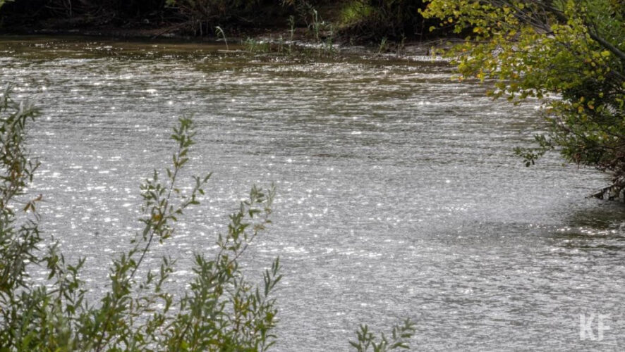 На проектно-изыскательные работы потратят 10