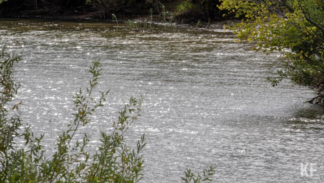 На проектно-изыскательные работы потратят 10