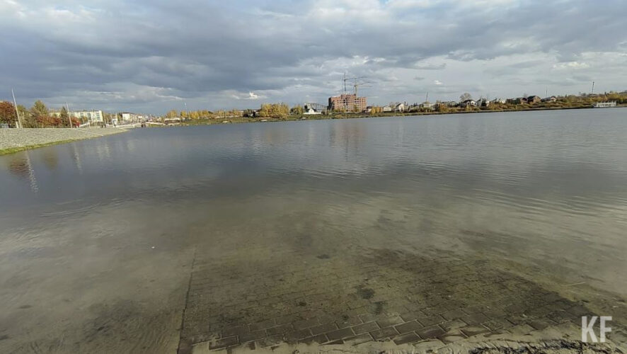 Среди новых обитателей - толстолобики