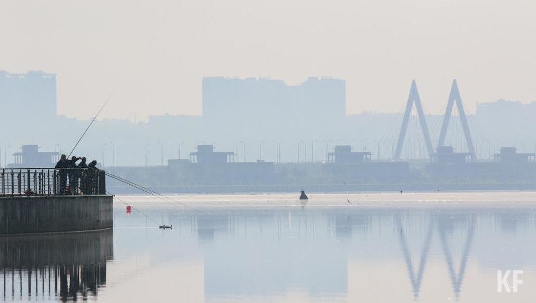 В снижении уровня воды также обвинили застройку берегов