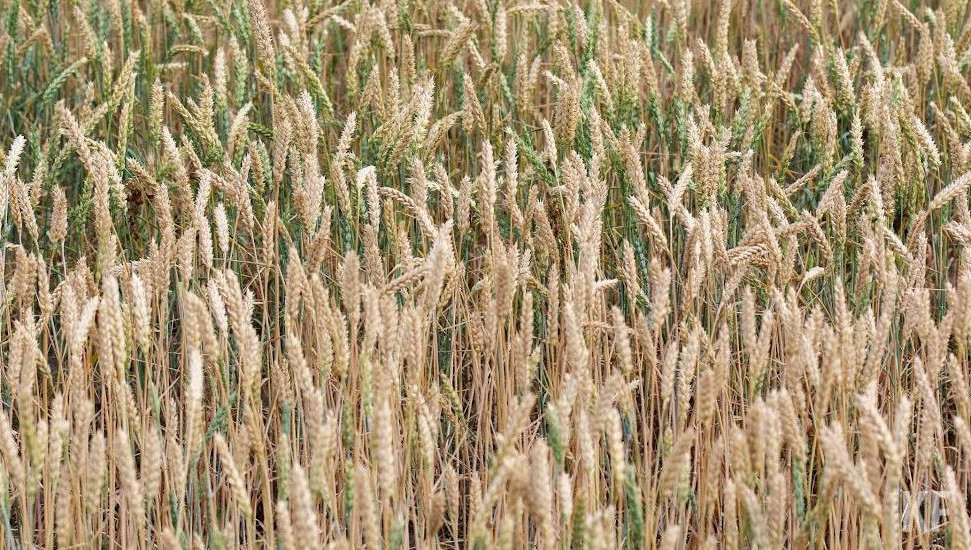 Марат Зяббаров отметил