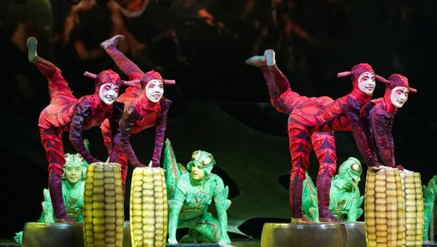 Цирк собирается в 2019 году открыть в Сколково стационарную площадку.