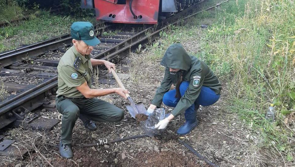 На месте работали полиция и экологи.