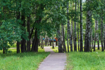 В учреждении нет банно-прачечного комплекса