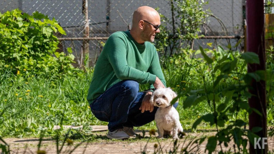 Поправки предлагают внести в в&nbsp;федеральный закон &laquo;Об&nbsp;ответственном обращении с&nbsp;животными&raquo;.