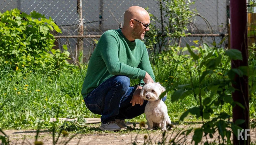 Поправки предлагают внести в в федеральный закон «Об ответственном обращении с животными».