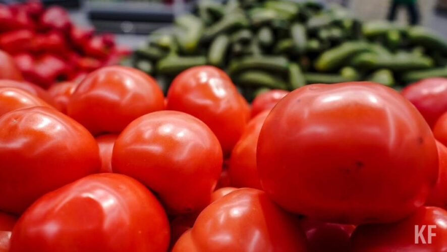 Эксперт считает