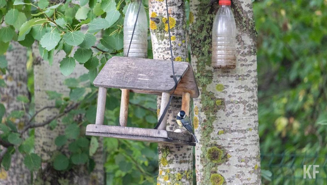 Акция продлится до 31 марта.