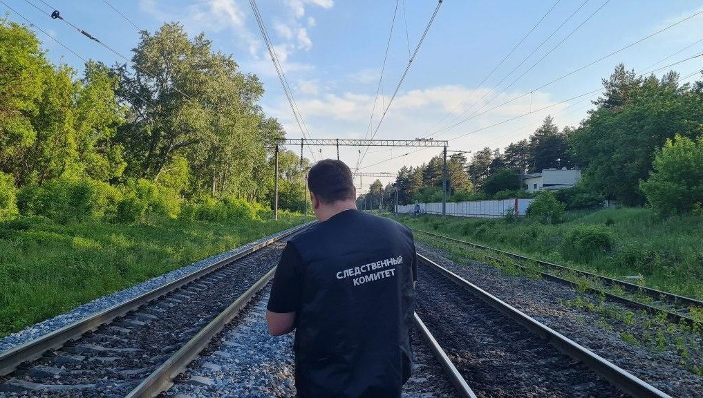 Сотрудники ведомства проводят проверку и устанавливают все обстоятельства происшествия.