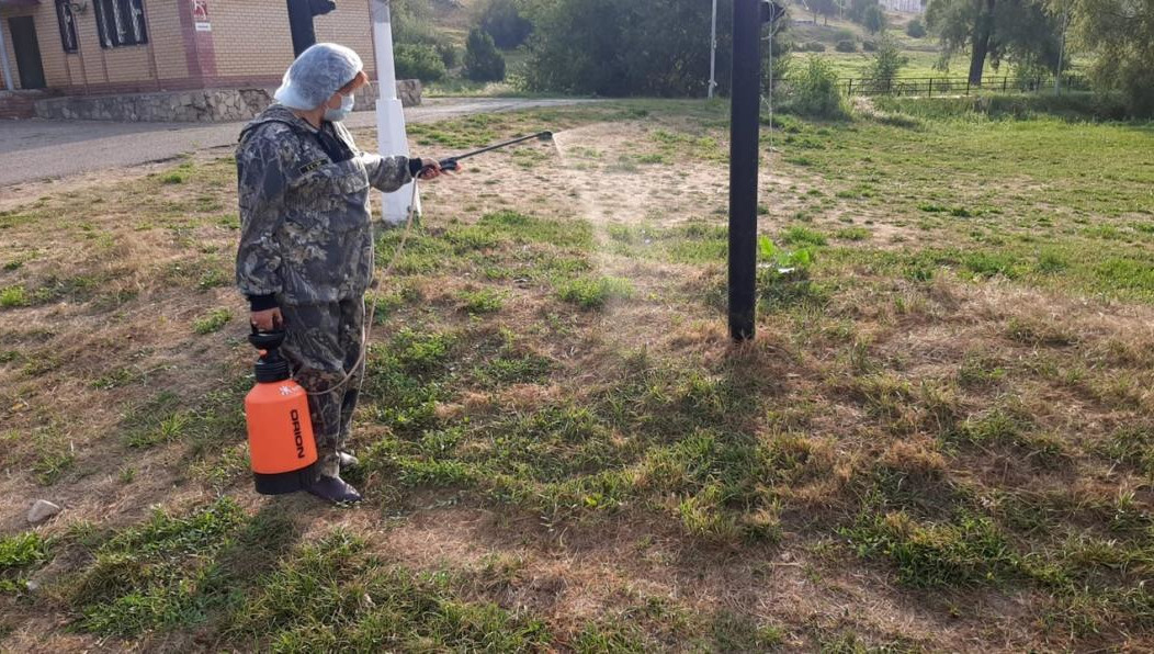 Отмечать с группой Dabro будут 30 августа.