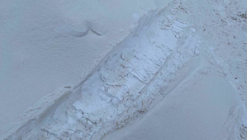 Необычное явление связали с пыльными бурями на Волге и в Казахстане.