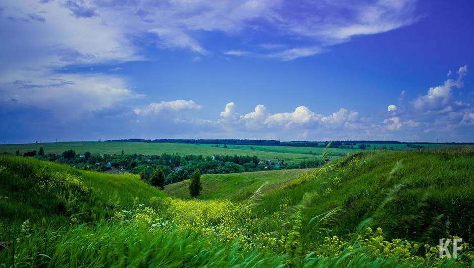 Президент подчеркнул