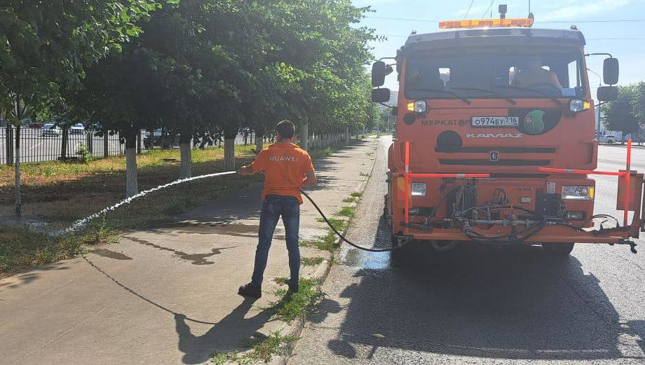 Молодые деревья могут погибнуть из-за засухи.
