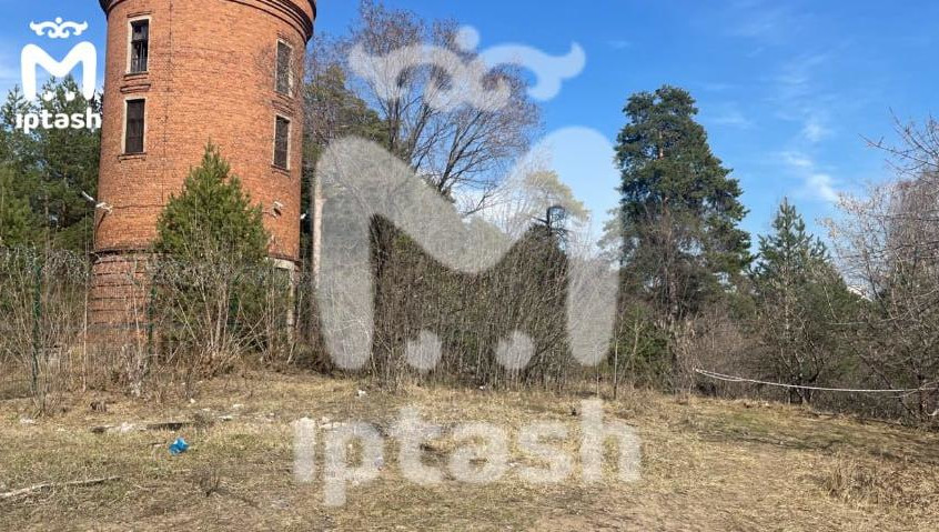 Малыши были &laquo;похоронены&raquo; в коробке.