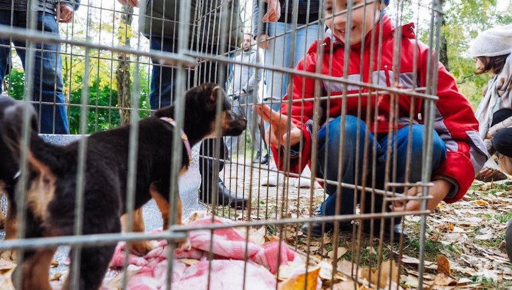 Также всего за несколько часов люди принесли 40 килограммов корма.