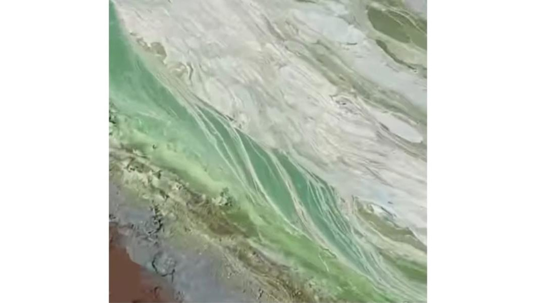 Это не первый случай в водоемах автогорода.